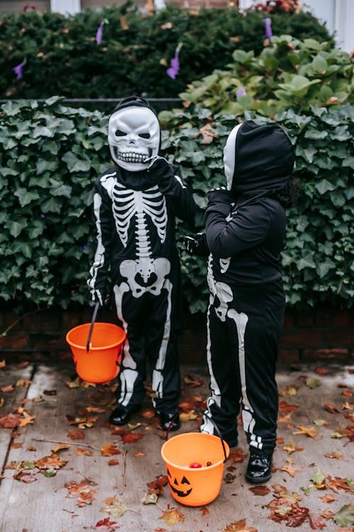 Free Kids Wearing Halloween Costumes Standing Near Plants Stock Photo