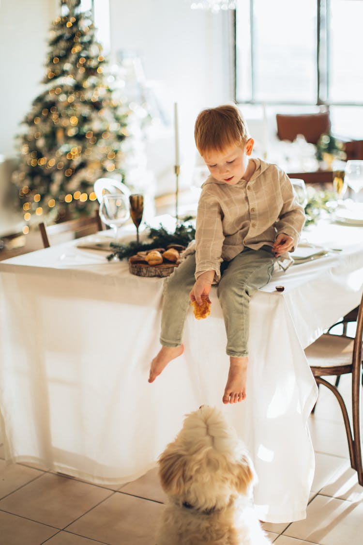 A Boy Sitting On The Table While Feeding The Dog