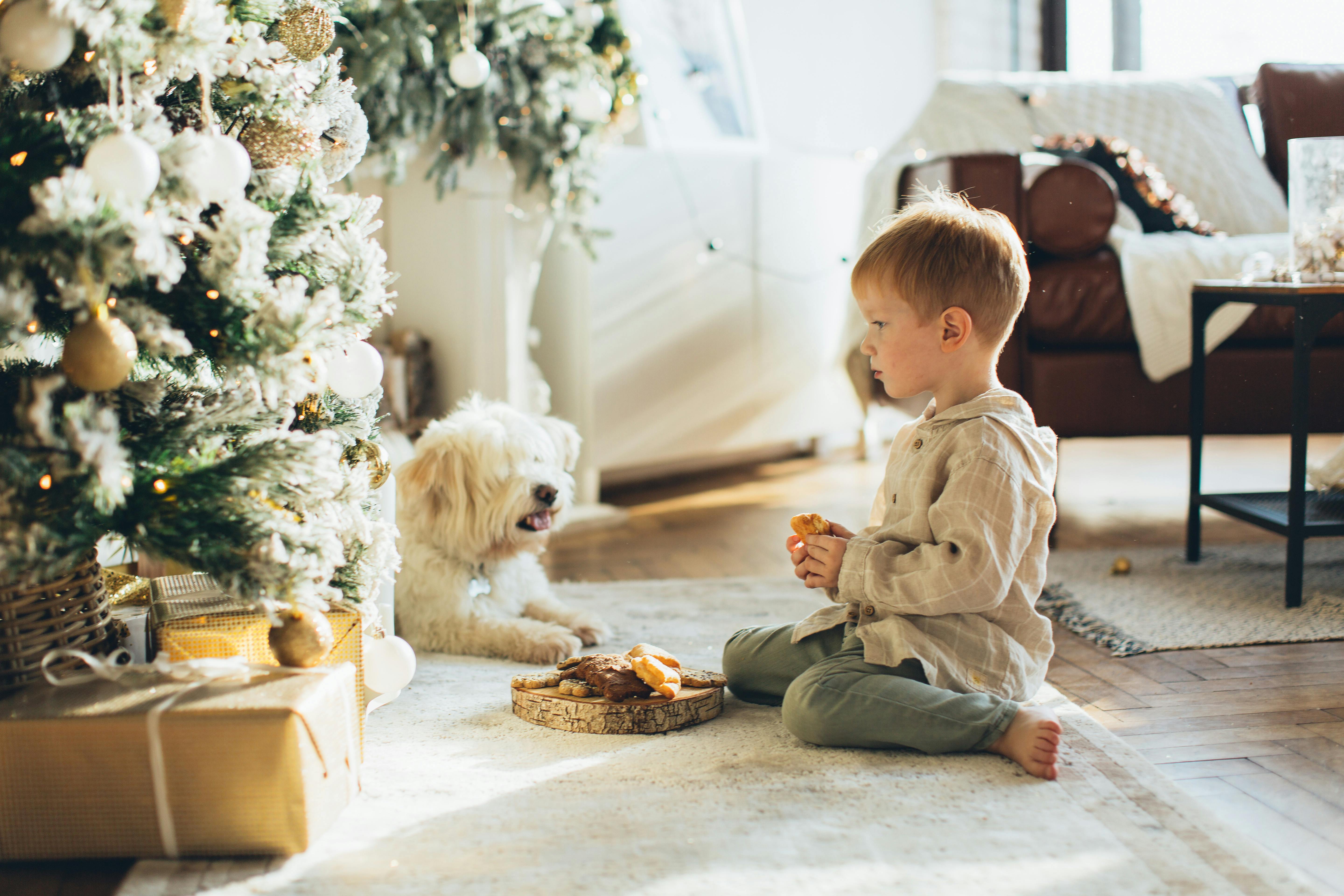 child and pet dog sitting beside christmas tree