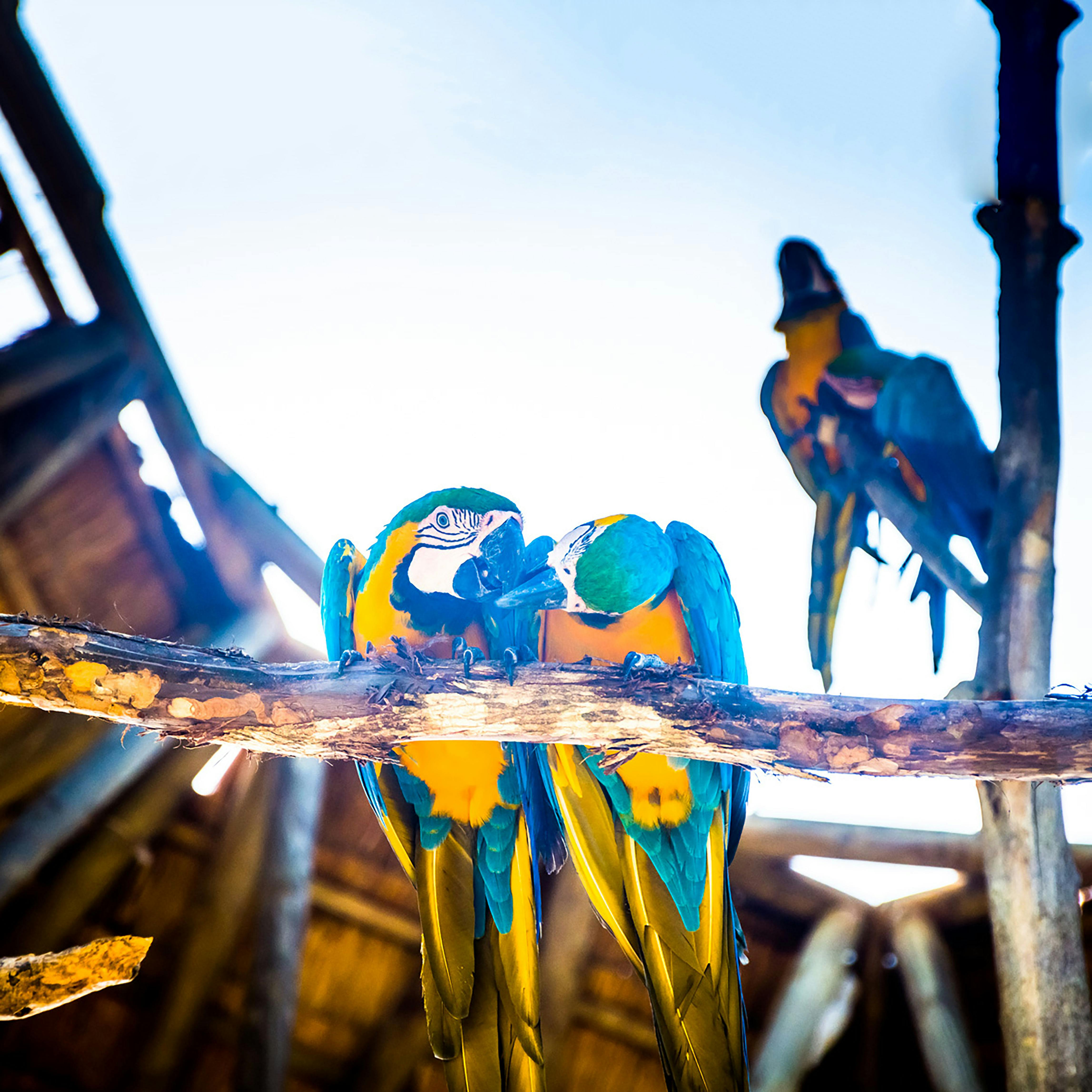 Civil rights law and machine learning fairness concepts