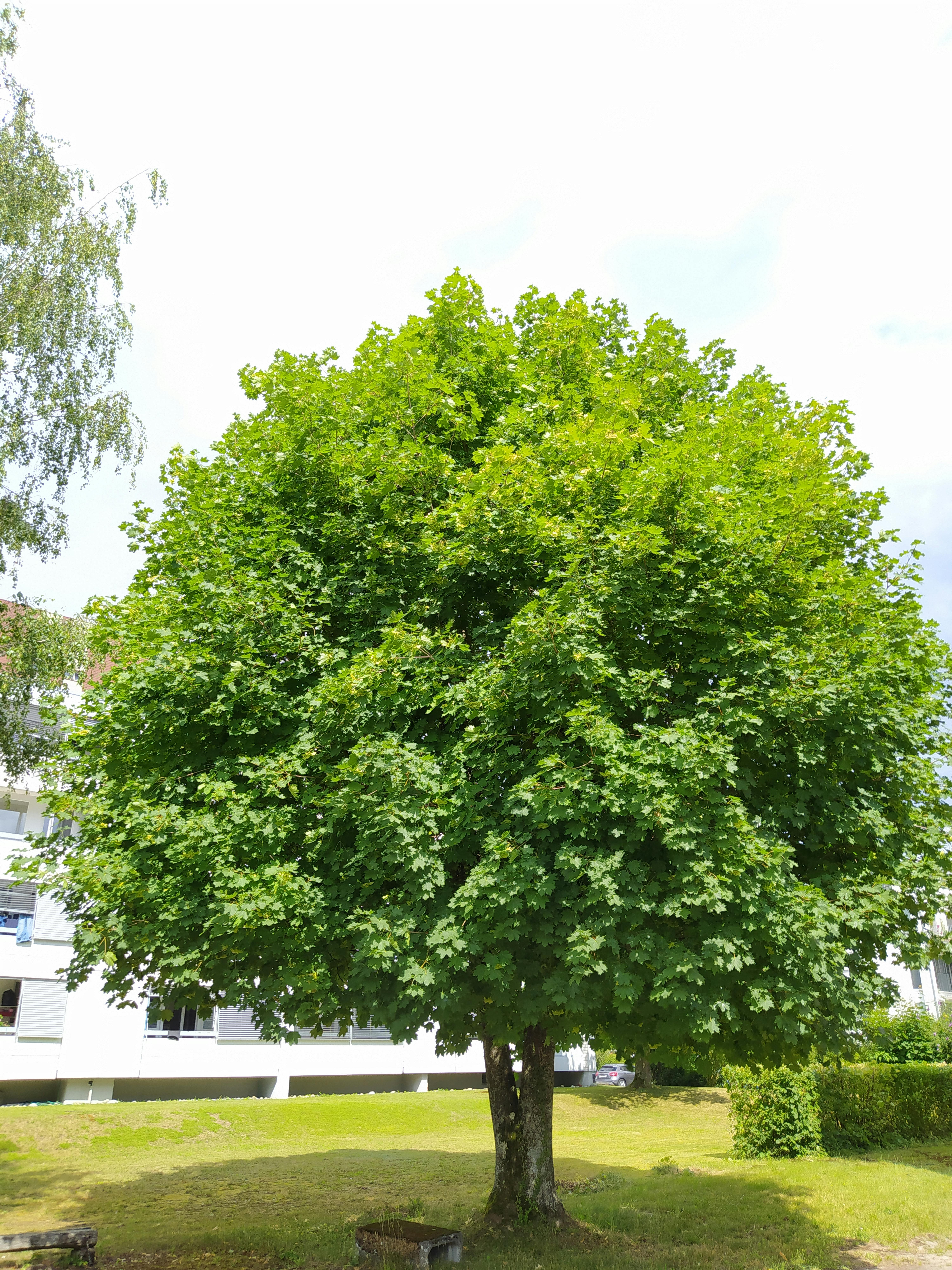 Global cybercrime investigation network