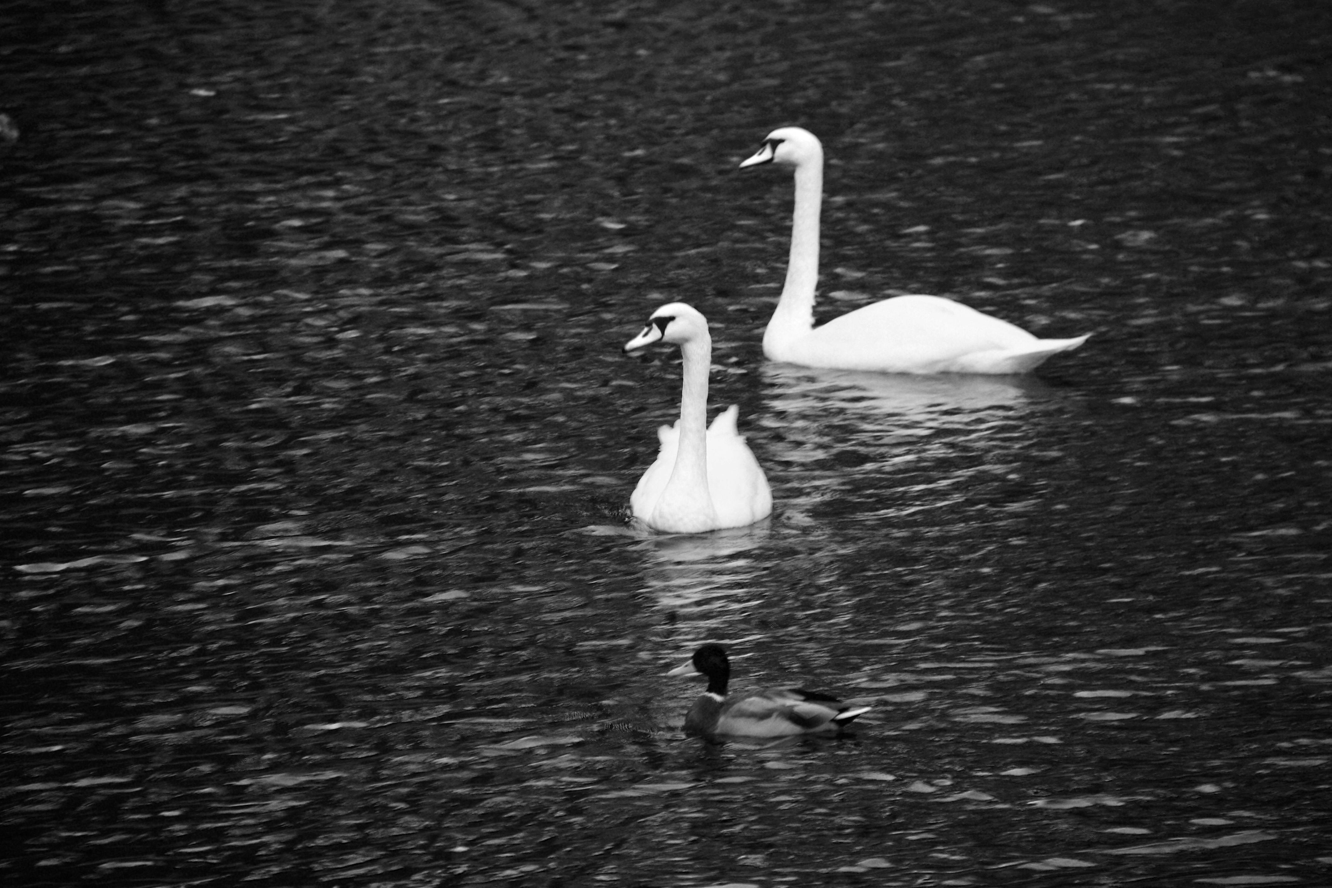 Close-up of high-pressure experimental equipment similar to a diamond anvil cell