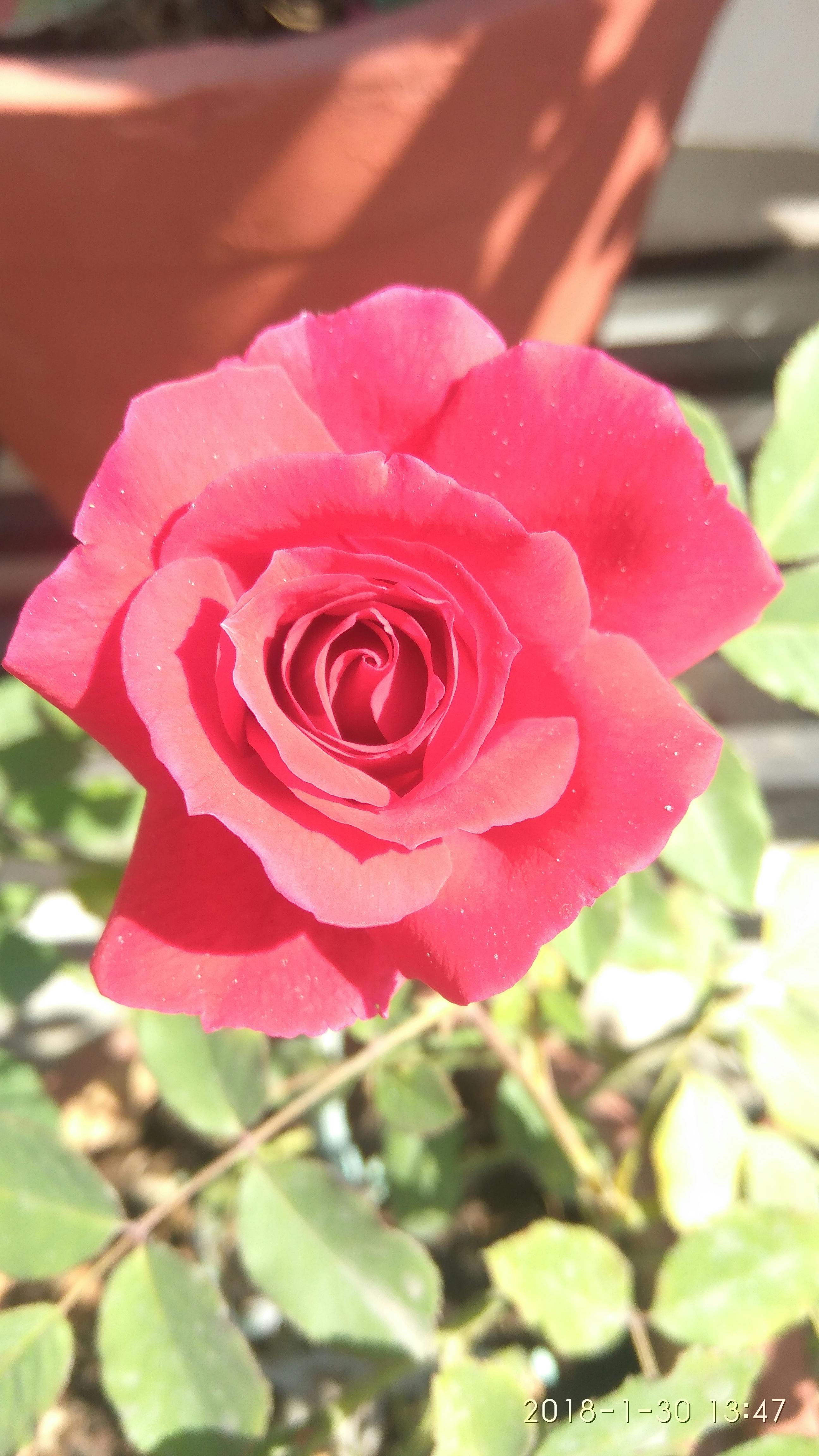 Scientist analyzing DNA data on a computer screen