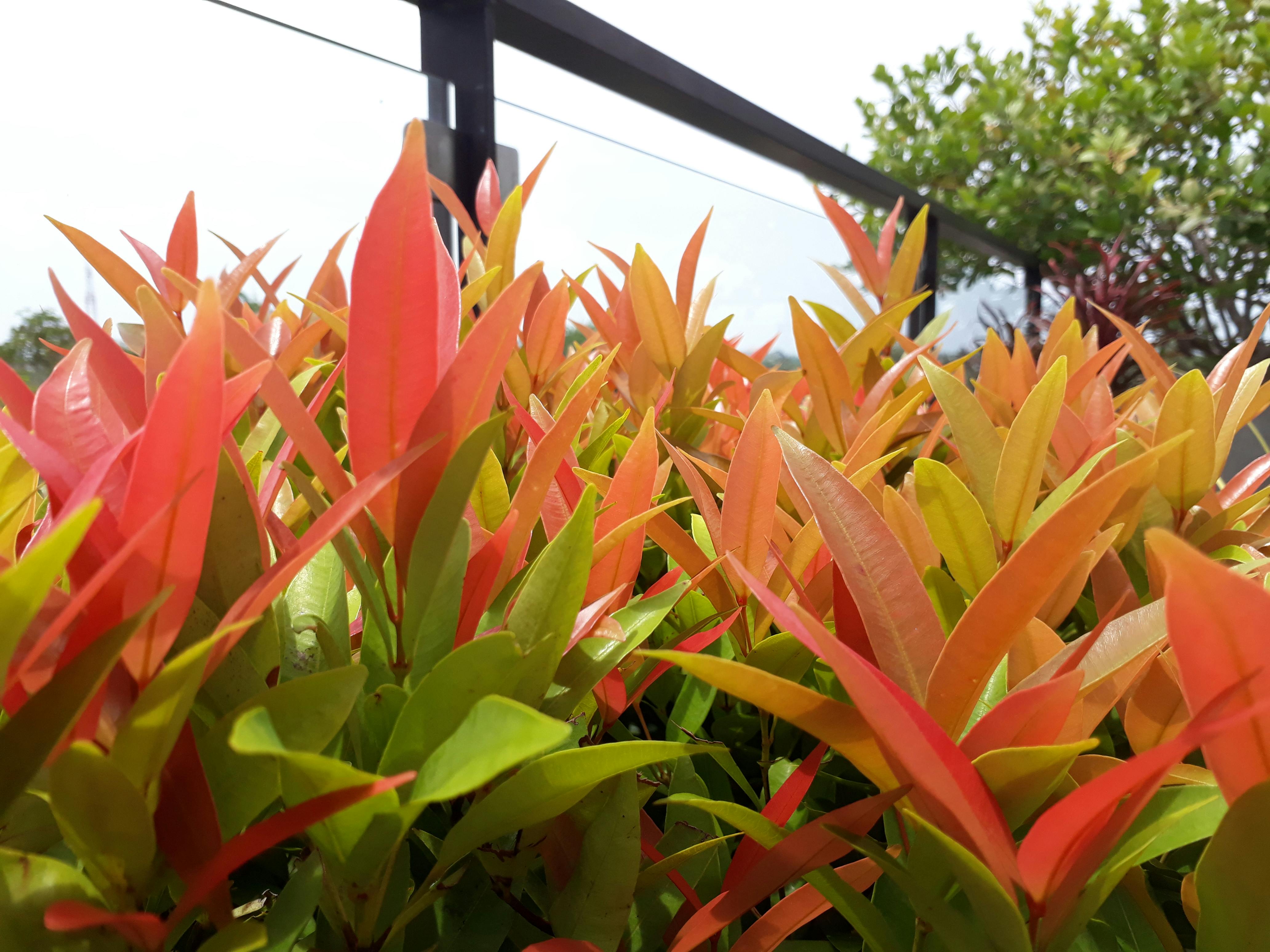 3D model of a DNA double helix representing genome editing targets