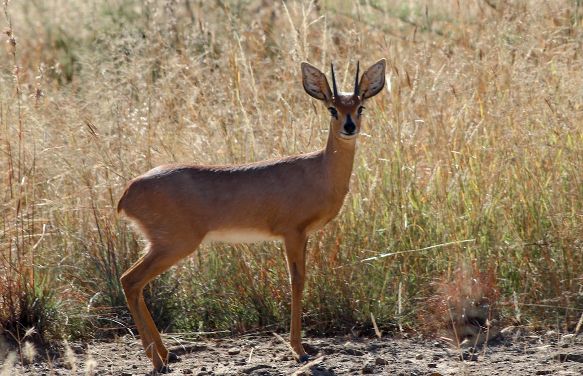Researchers collaborating in a lab with computers and lab equipment