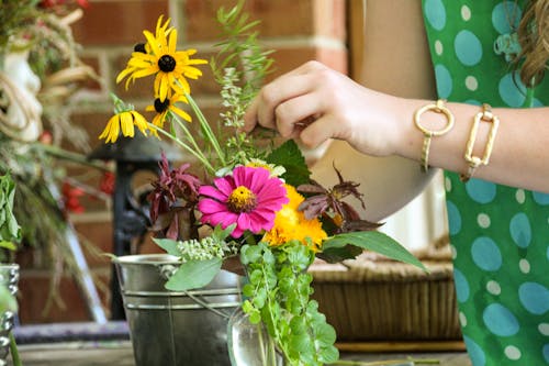 Fotobanka s bezplatnými fotkami na tému florista, kvetinový, kvety