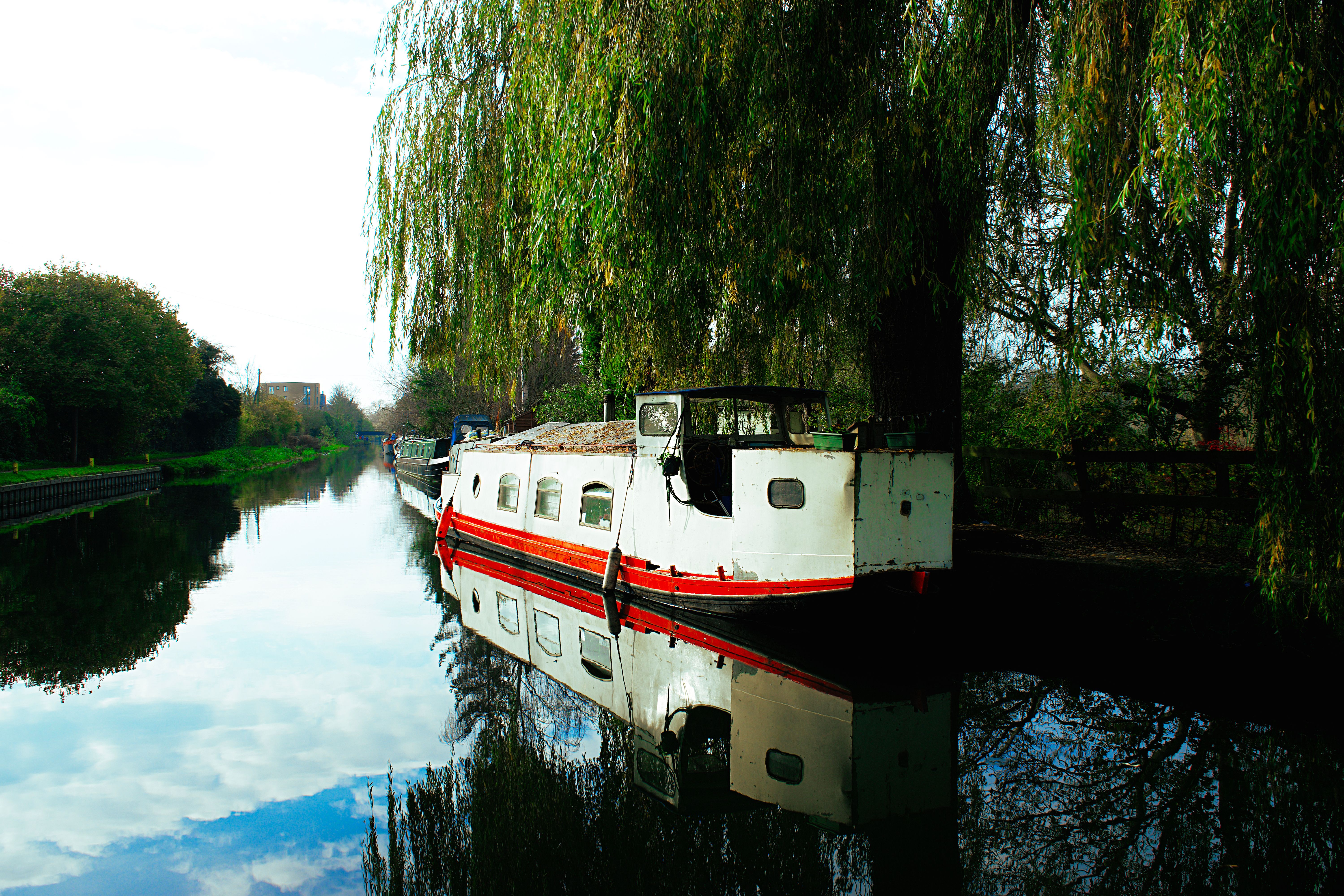 Thames Path towpath near Sonning Lock with narrowboats moored under willows