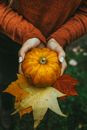 Person Holding Orange Pumpkin