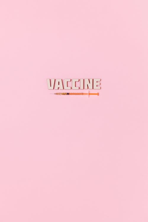 粉紅色的背景上的注射器和疫苗文本