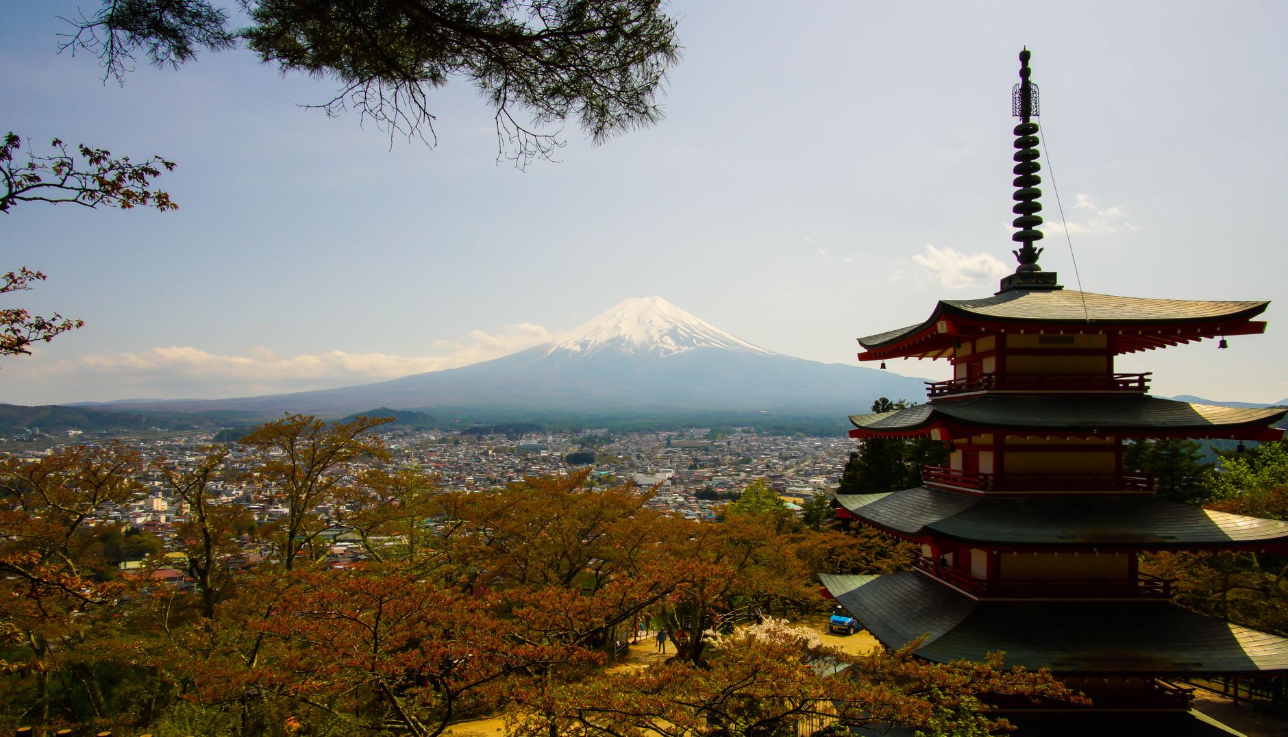 Iconic view of Chureito Pagoda with Mount Fuji in the background during springtime in Japan.