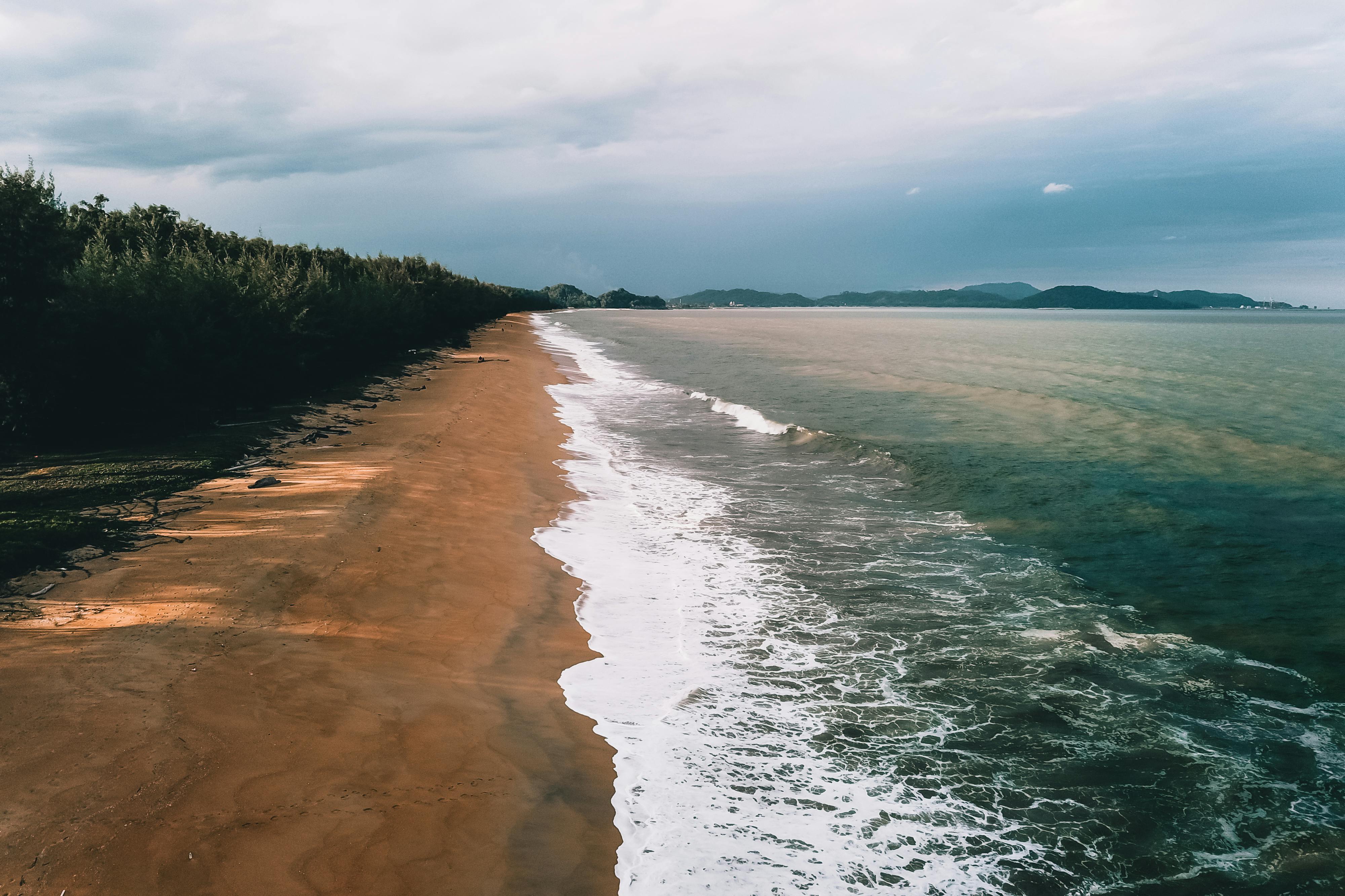 37,450+ Best Free Deep forest Stock Photos & Images · 100% Royalty-Free