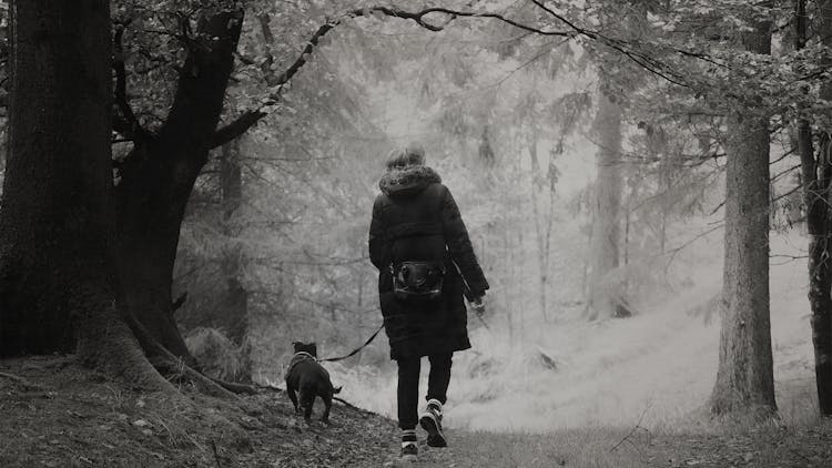 Person In Black Coat Walking With Her Dog