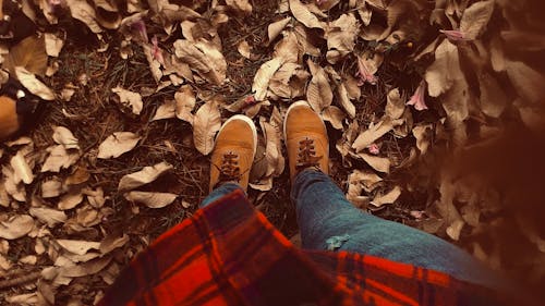 Безкоштовне стокове фото на тему «взуття, джинси, земля» стокове фото