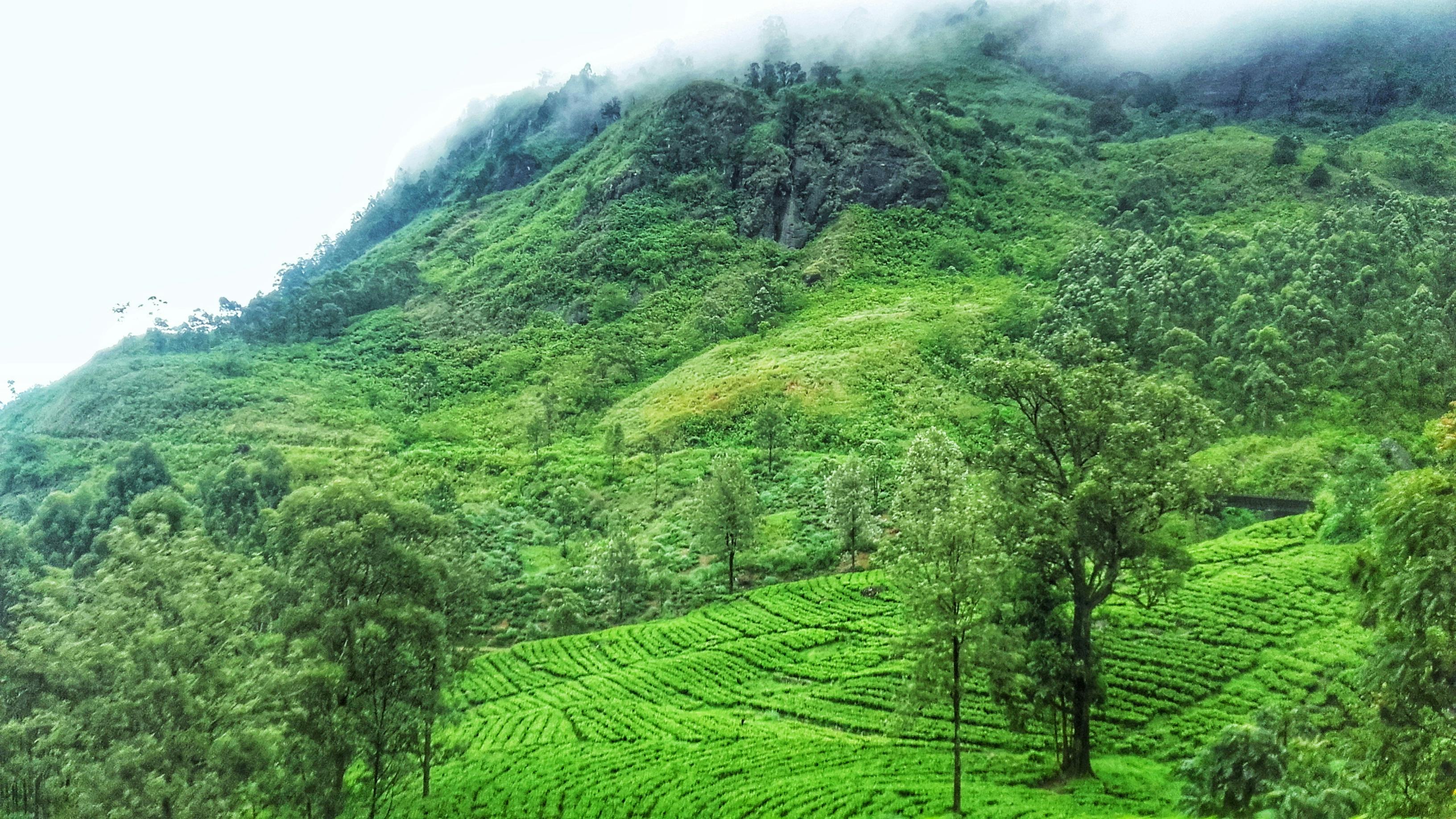 Unduh 90 Gambar Gunung Hijau Terbaik HD