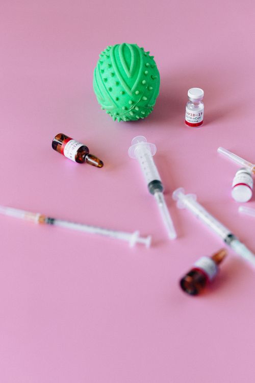 Free Flat lay of medical syringes and vials on pink with a green stress ball. Stock Photo