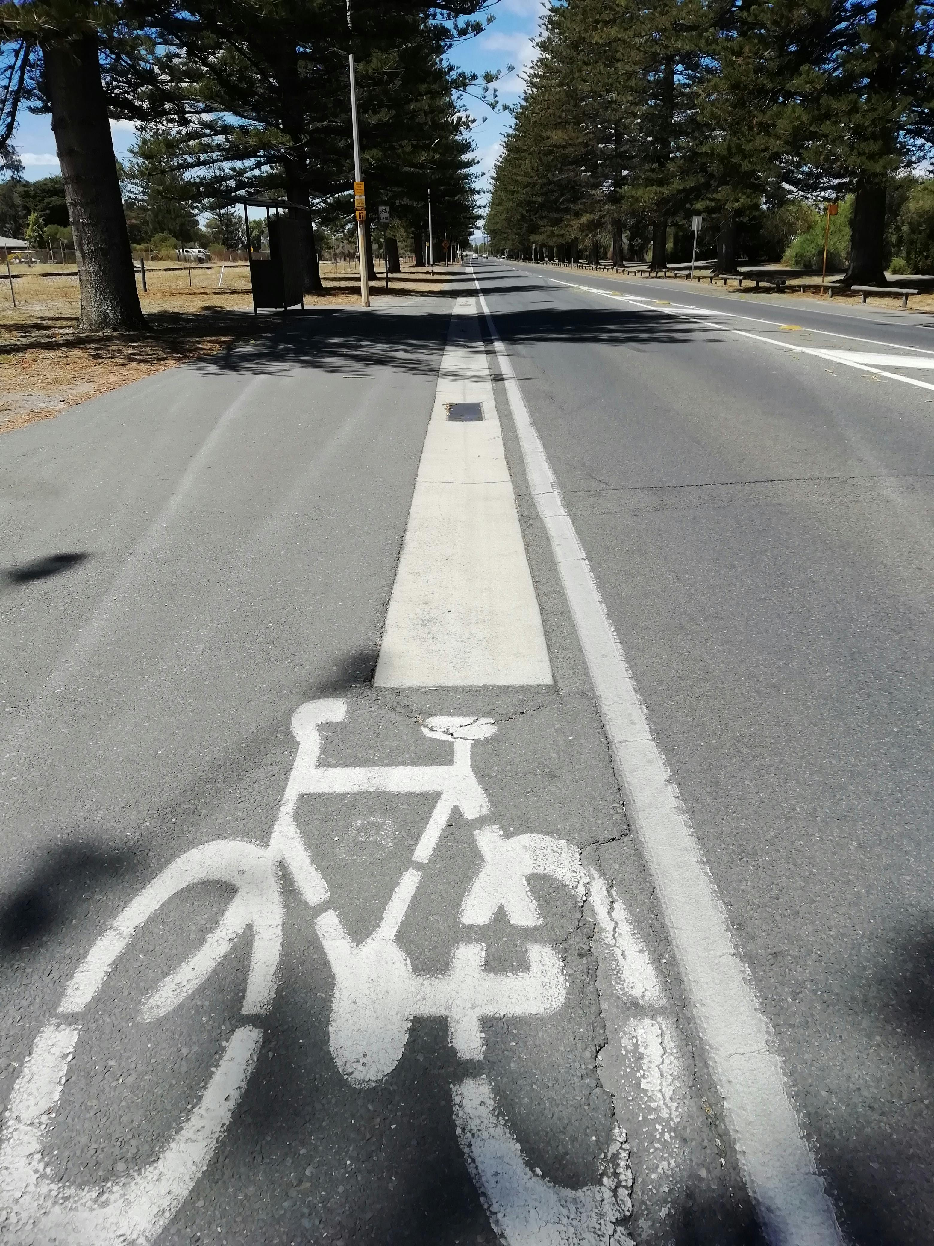 Judicial algorithm evaluating legal data for sentencing recommendations