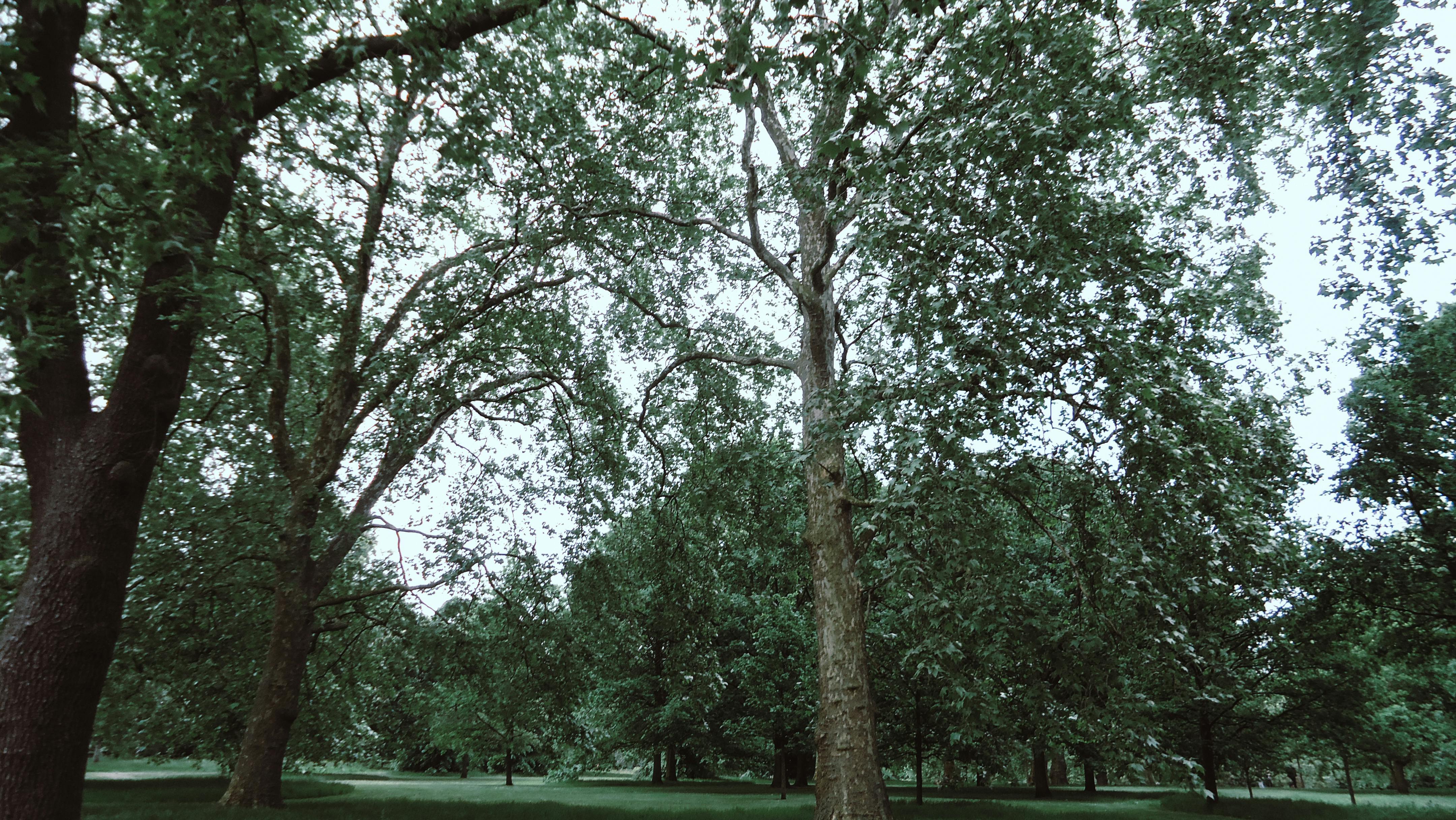 Students and researchers collaborating in a modern biotechnology lab