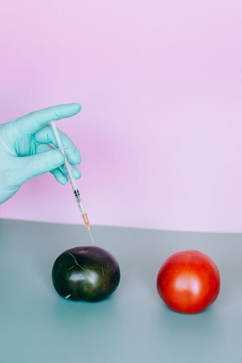 Free Person Holding An Injection With Tomatoes On Tablle Stock Photo