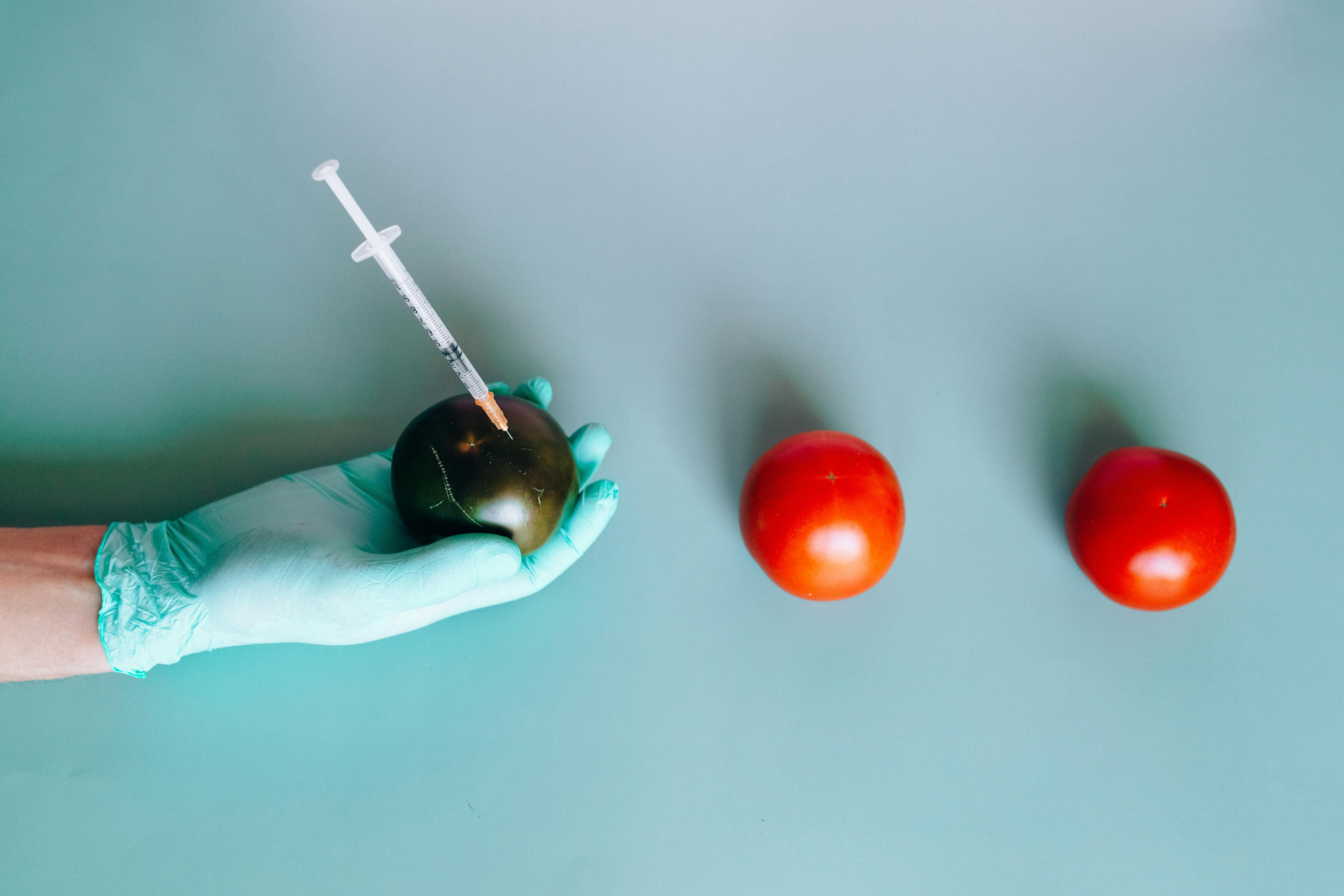 person holding a fruit with an injection