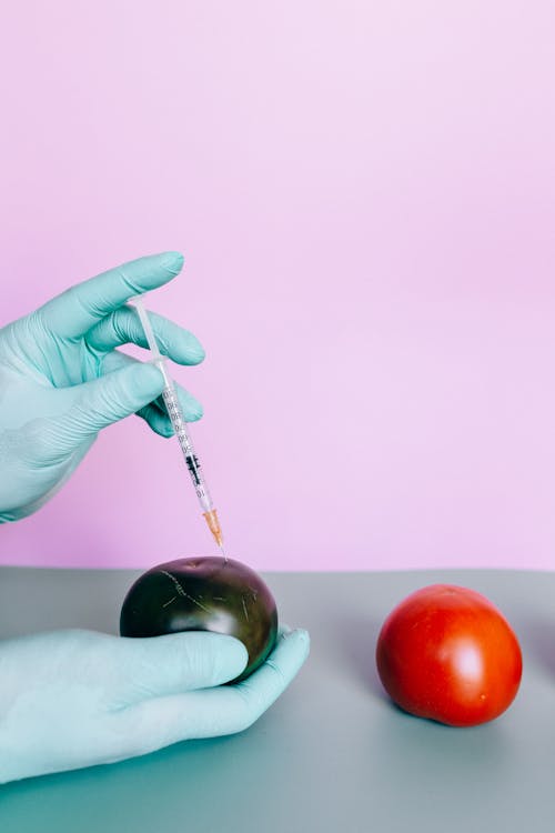 Person Making A Study On Covid-19 Vaccine By Injecing On A Vegetable