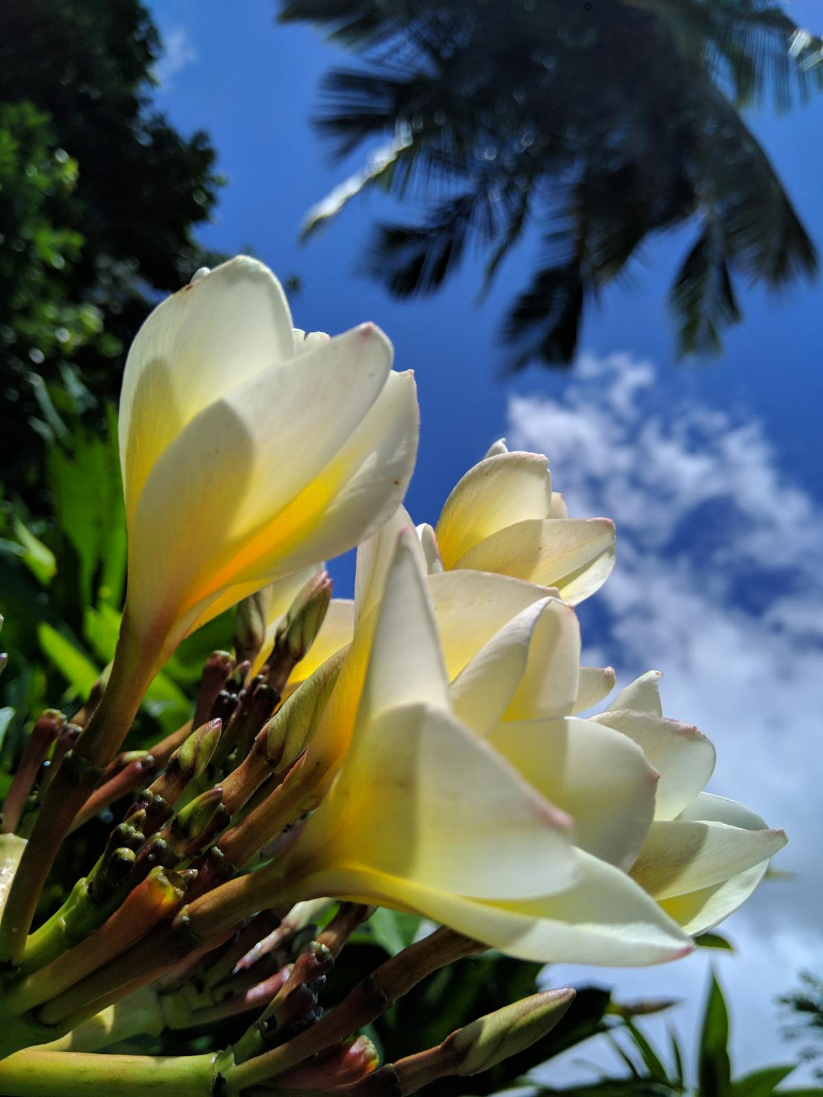 Doctor explaining medication risks and benefits to a patient in an office
