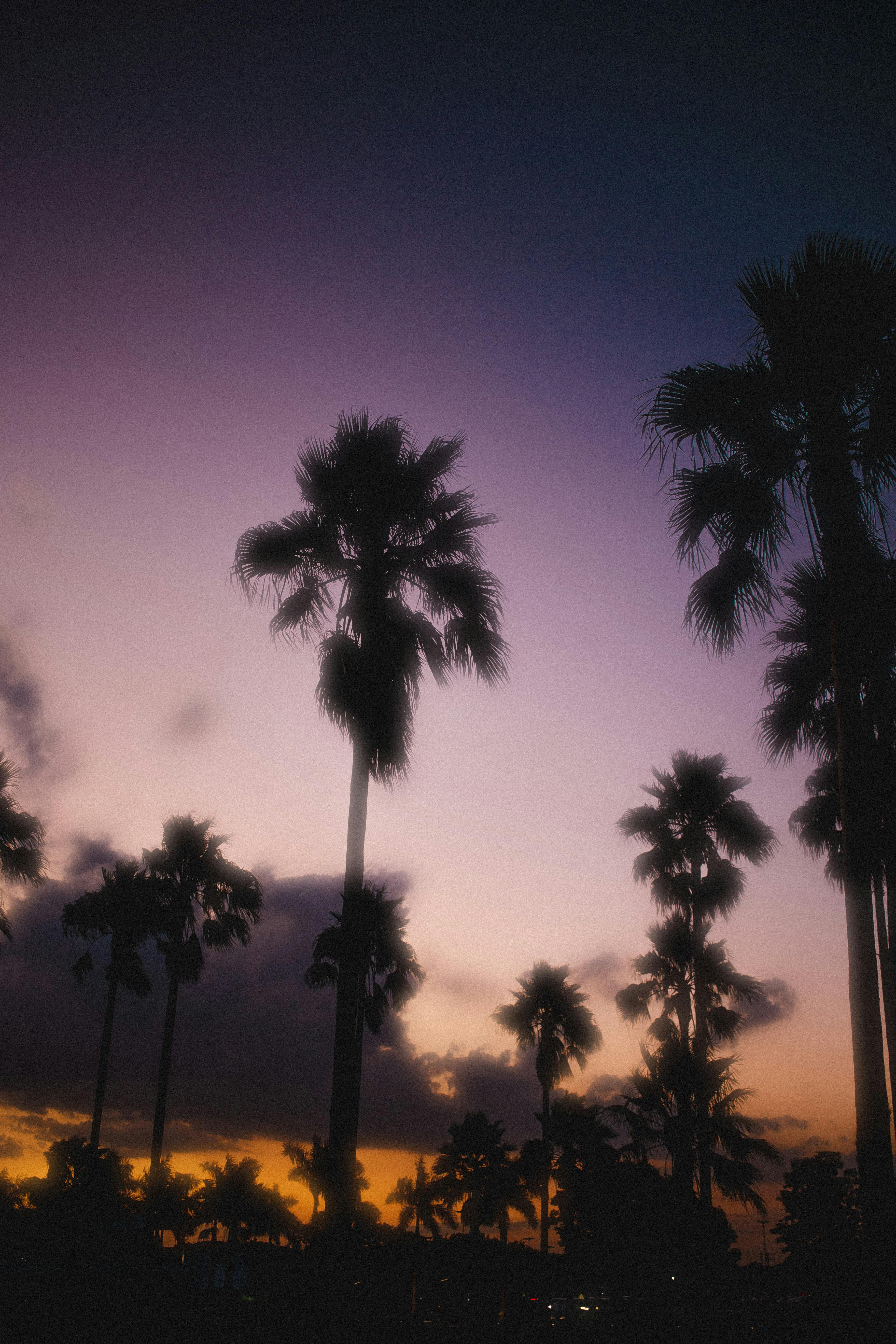 Person reading health information on a digital tablet