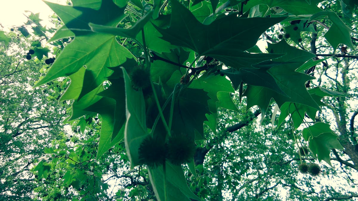 Scientist working with samples in a laboratory researching cancer therapies