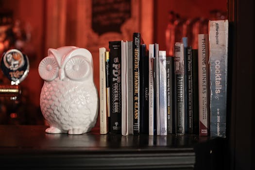 Close-up of a shelf with a decorative owl and cocktail books in a dimly lit bar setting.