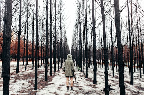 Woman in Green Hoodie Jacket Standing on Snow Covered Ground