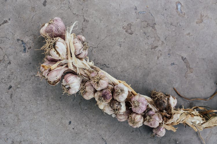 Garlic Bundle On Concrete Floor