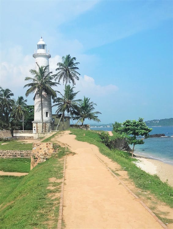 斯里蘭卡, 椰子樹, 海洋 的 免费素材图片