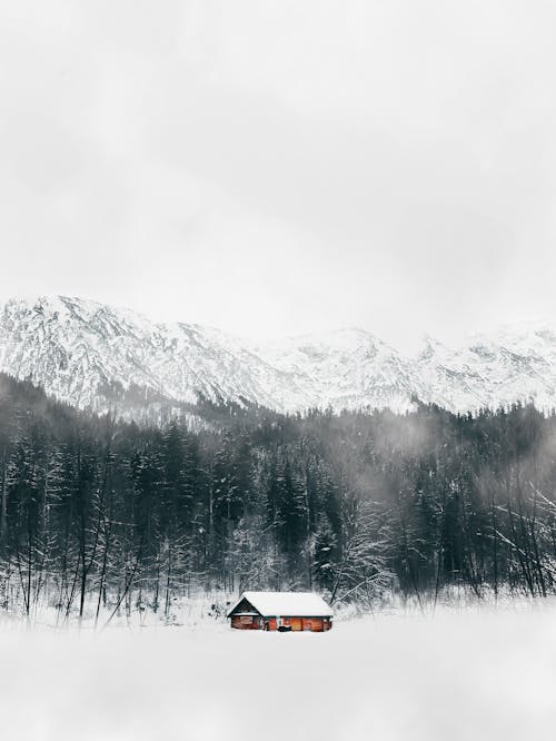 Gratuit Imagine de stoc gratuită din acoperit de zăpadă, anotimp, cabană Fotografie de stoc