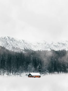 德国一座白雪皑皑的小屋宁静地坐落着，周围环绕着薄雾弥漫的森林和高耸的山峰