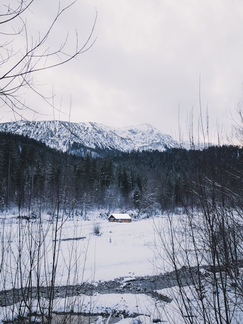 Snow Covered Mountain 