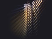 光线和阴影透过百叶窗投下戏剧性的光影，营造出喜怒无常的氛围