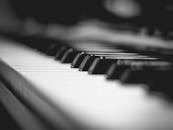 黑白特写的钢琴键优雅地展现了单色艺术景观