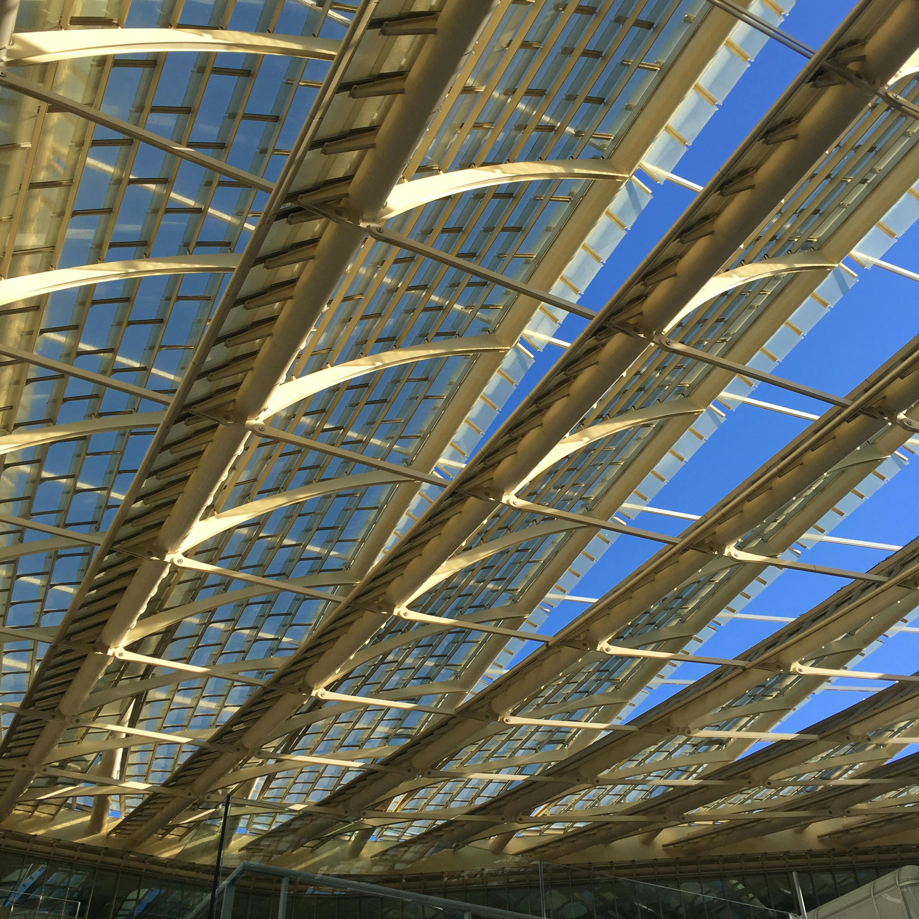 Paint correction service