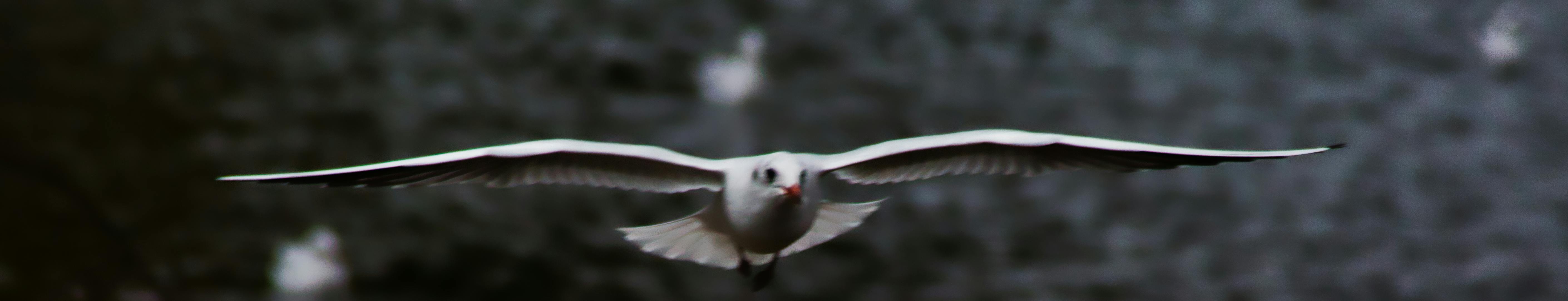 Sustainable Materials