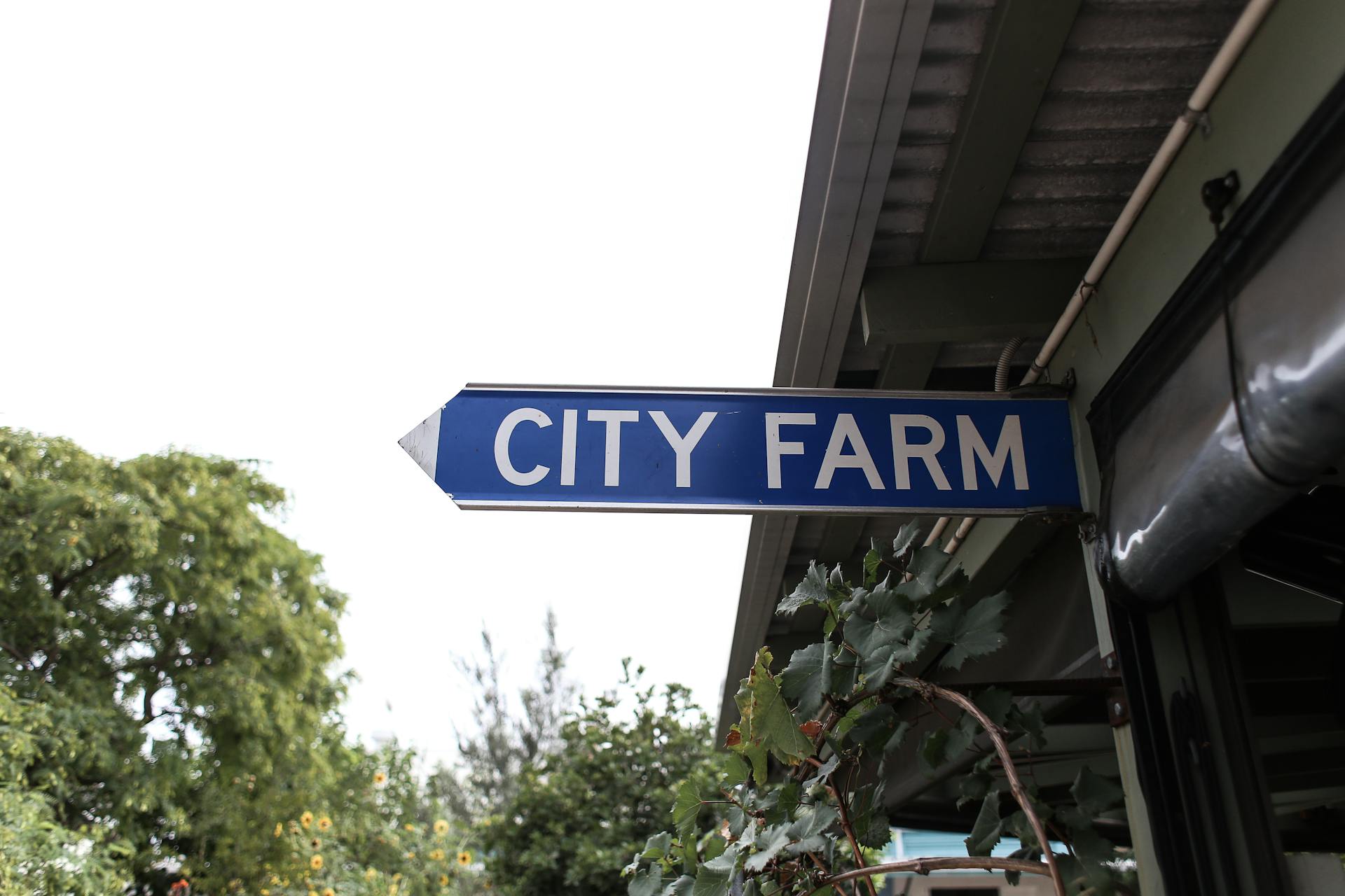 A blue directional street sign pointing to a city farm, surrounded by greenery and urban elements.