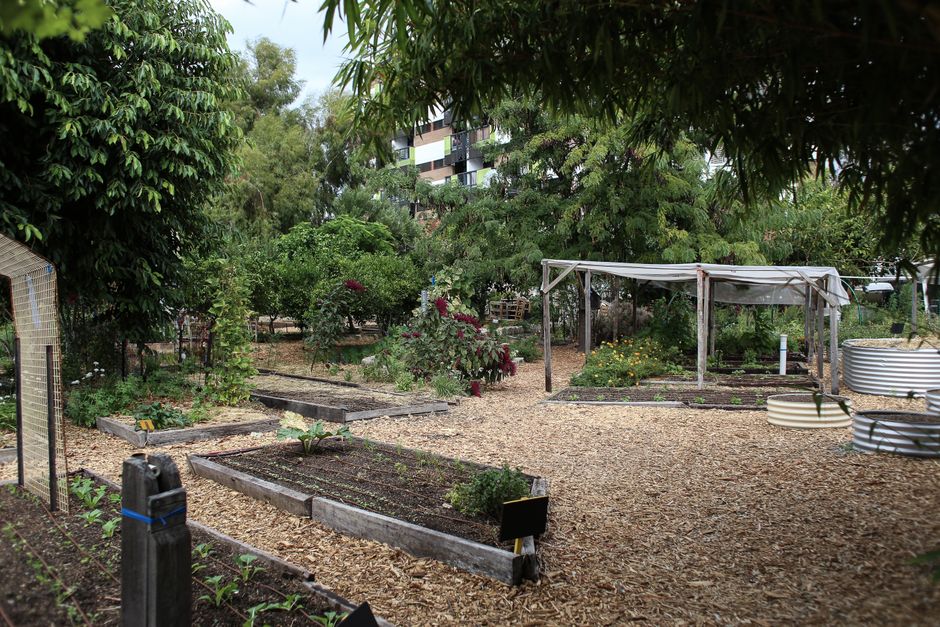 Taller de compostaje en el Huerto ADELFAS: miércoles 08 de abril a las 10:00 h