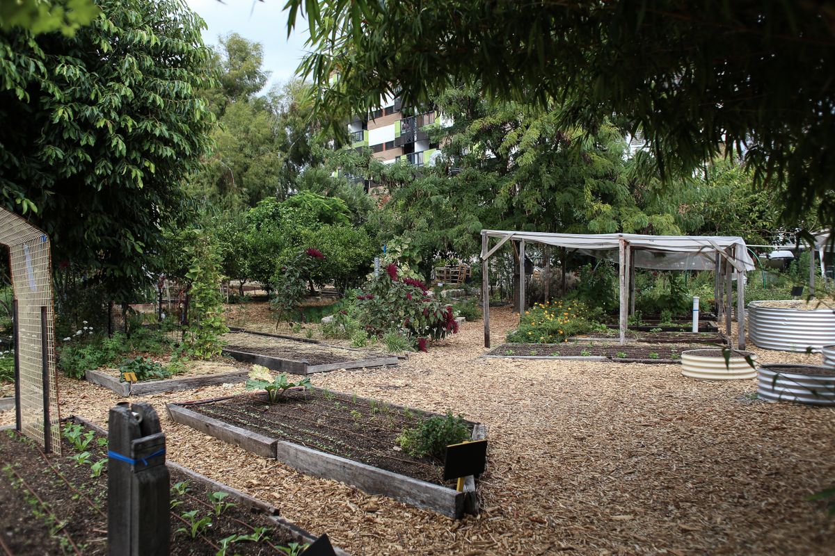 Landscape design