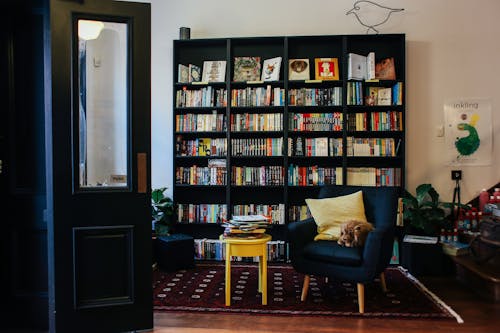 Free Black Wooden Bookshelf With Books Stock Photo
