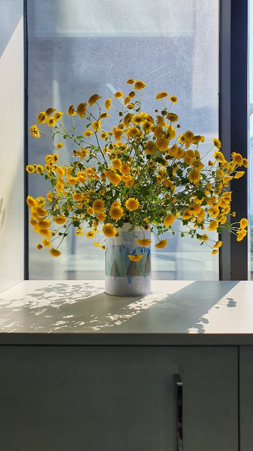 Free Yellow Flowers in Ceramic Vase Casting Shadow from Sunlight through the Glass Window Stock Photo