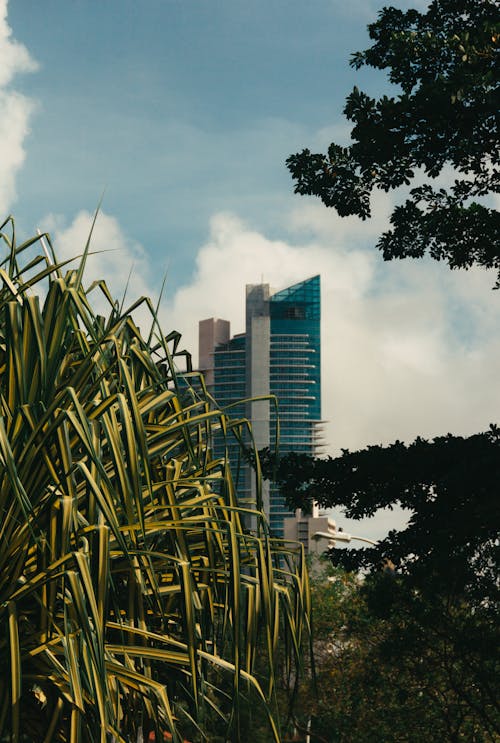 View of Glass Building Near Trees and Plants