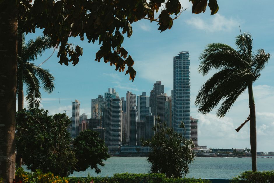 View of Panama City's skyline through lush trees, featuring tall skyscrapers under a blue sky.