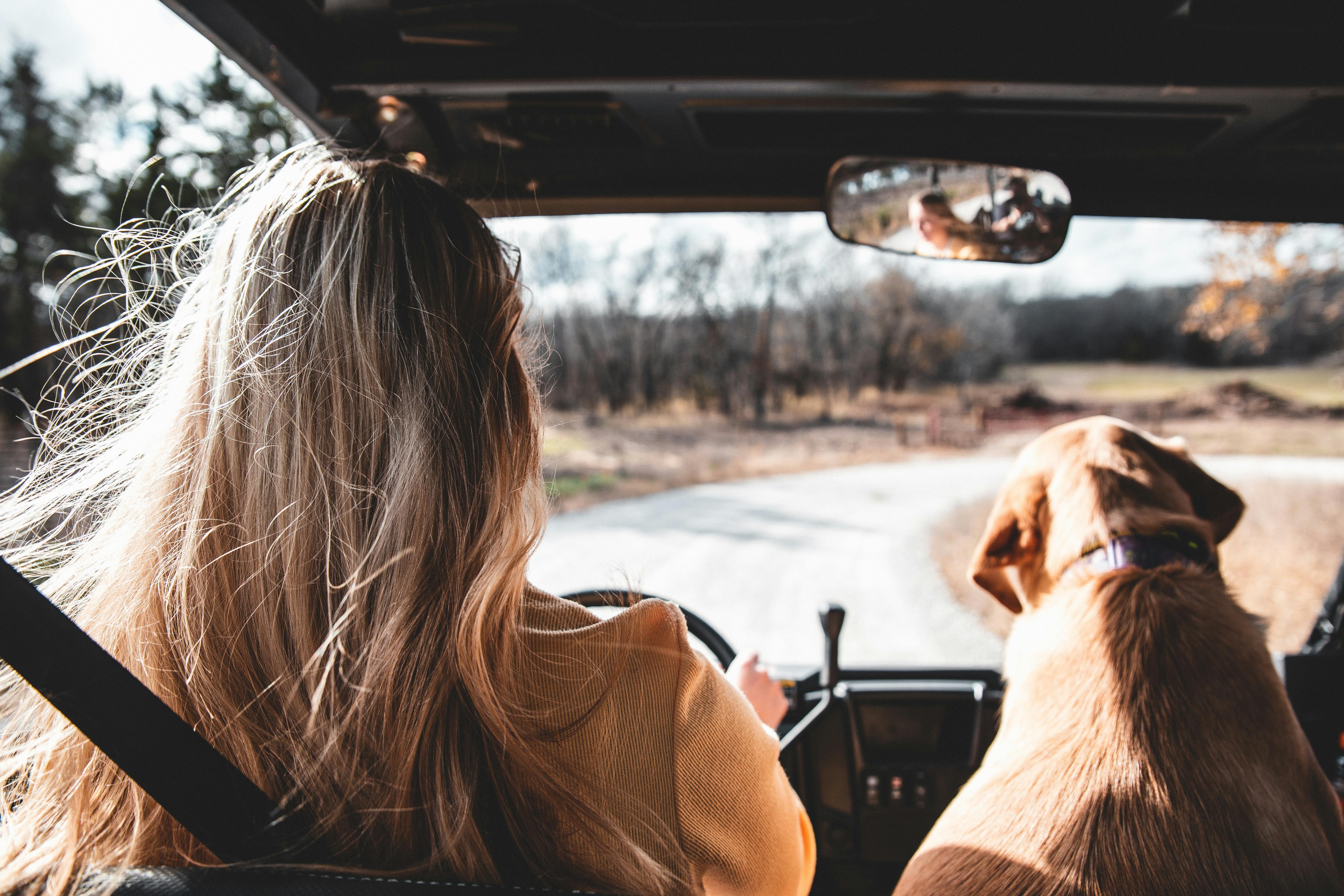 Back view of a woman and her dog on a road trip through a scenic country road.