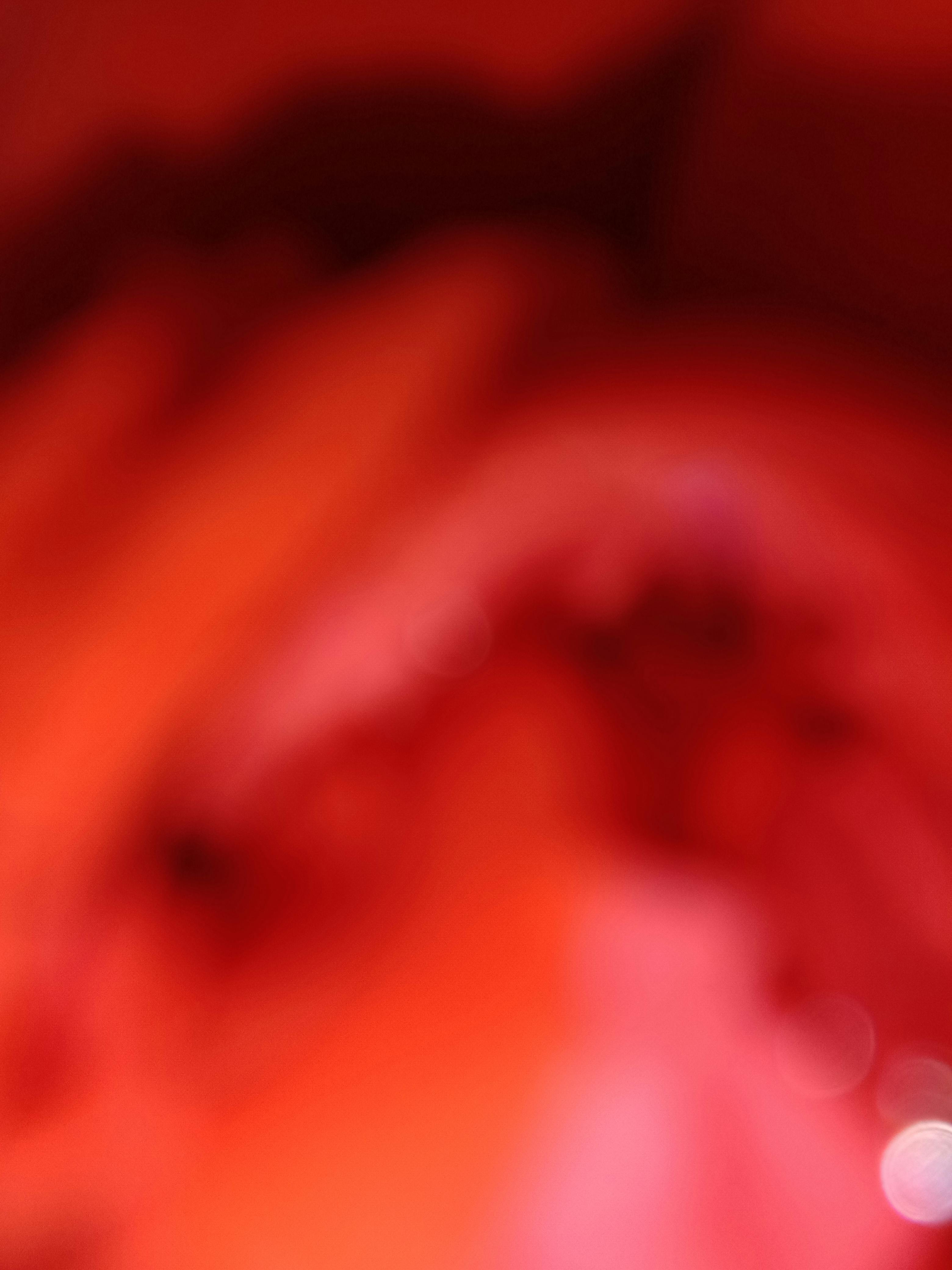 Pessoa lendo rótulo nutricional em supermercado