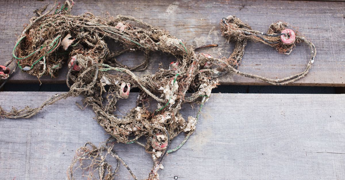 A detailed view of an old, tangled fishing net lying on weathered wooden planks.