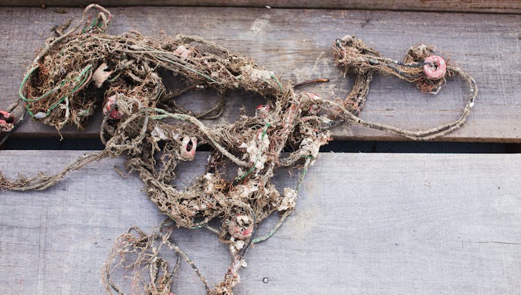 An Old Rope On Wood