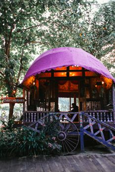 乡村紫色小屋里，树下有塔罗牌读卡器